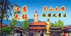 日小妹屄视频江苏无锡灵山大佛旅游风景区